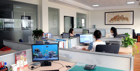 領(lǐng)軍科技未來 計(jì)算機(jī)軟硬件技術(shù)開發(fā)公司簡介